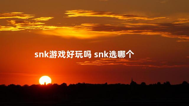 snk游戏好玩吗 snk选哪个